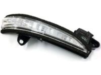 Ford DS7Z-13B374-A Signal Lamp, Front Passenger Side