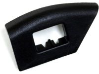 Ford CJ5Z-9906064-AA Striker, Front Driver Side