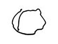 Ford 4L1Z-6020-AA Timing Cover Gasket, Center