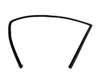 Ford AE8Z-5421596-B Run Channel, Front Passenger Side