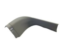 Ford CJ5Z-7842410-AC Moulding, Driver Side