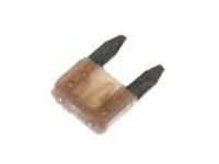 Ford F2UZ-14526-L Mini Fuse, Inner