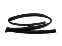 Ford FL3Z-1820709-A Weatherstrip On Body, Front Inner Driver Side