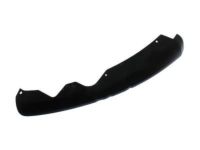 Ford DS7Z-17626-AA Valance, Black, Front Passenger Side