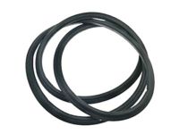 Ford 1L2Z-7820531-AA Weatherstrip Assembly - Door Window, Driver Side