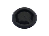 Ford -W709643-S300 Mount Plate Plug