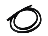 Ford CV6Z-5820530-A Weatherstrip On Body, Front Inner