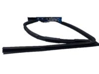 Ford 8L8Z-7821546-B Run Channel, Front Passenger Side