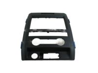 Ford BL3Z-1504302-CA Center Panel, Black