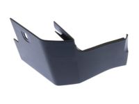 Ford CN1Z-16A038-CA Lower Molding, Front Passenger Side