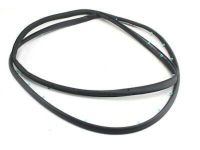 Ford DS7Z-5420530-A Weatherstrip, Passenger Side