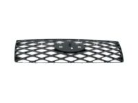 Ford 8A2Z-8200-A Grille, Front