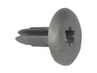 Ford EJ5Z-78551A46-B Cross Rail Cap, Silver