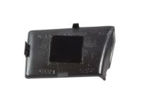 Ford 5R3Z-6322621-AAC Escutcheon, Charcoal Black, Driver Side