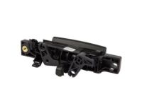 Ford CK4Z-6122666-A Handle, Inside, Inner
