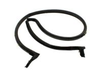 Ford F3UZ-1543723-A Weatherstrip, Rear Driver Side