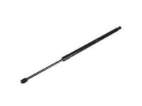 Ford BB5Z-78406A10-A Lift Cylinder, Rear Passenger Side
