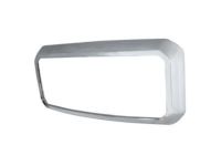 Ford BC3Z-8200-A Grille Surround, Front