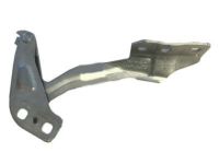 Ford DS7Z-16797-A Hinge, Front Driver Side