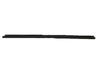 Ford 4R3Z-6321456-AA Weatherstrip - Door Belt, Inner Passenger Side