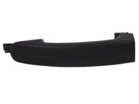 Ford CV6Z-5422404-DA Handle, Outside, Black, Front Outer