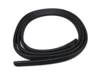 Ford 3C3Z-2820708-AB Weatherstrip On Body, Passenger Side