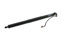 Ford FA1Z-14B351-A Actuator, Driver Side