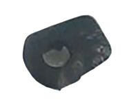 Ford CK4Z-1521999-AB Grommet, Passenger Side
