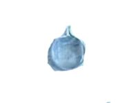Ford 4L2Z-3C650-A Boot Clamp, Outer