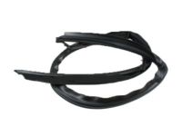 Ford 6C3Z-2651222-A Weatherstrip, Passenger Side