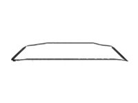 Ford G1EZ-17K946-B Grille Surround, Front Lower