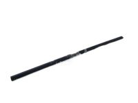 Ford AR3Z-6321456-A Belt Weatherstrip, Inner Passenger Side