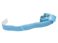 Ford FR3Z-6320000-AA Stripe Tape, Passenger Side
