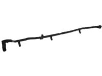 Ford FT4Z-5825324-C Front Weatherstrip, Passenger Side