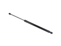 Ford 3F2Z-17406A11-AA Lift Cylinder, Rear Driver Side