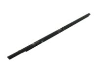 Ford 6E5Z-5421452-A Belt Weatherstrip, Black, Passenger Side