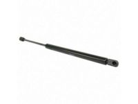 Ford HC3Z-16C826-A Lift Assembly - Gas, Passenger Side