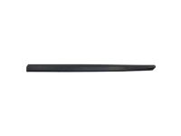 Ford DP5Z-5420878-AA Side Molding, Front Passenger Side