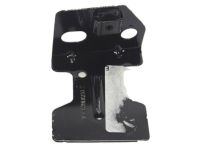 Ford DS7Z-16C078-B Center Bracket, Driver Side