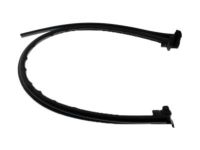 Ford F81Z-28253A36-AA Weatherstrip, Passenger Side