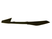Ford FB5Z-78061A16-AA Trim Molding, Passenger Side