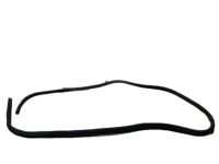 Ford BL3Z-16253A10-A Weatherstrip On Body, Rear Passenger Side