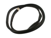 Ford BM5Z-5443720-B Weatherstrip, Rear