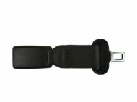 Ford 4L5Z-10611C22-AAA Extension, Front