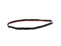 Ford 4L3Z-16253A20-AA Seal Strip, Rear Passenger Side