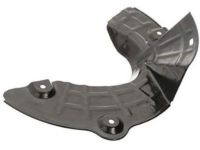 Ford F-150 Brake Backing Plate - XL3Z-2K005-AA Backing Plate, Front Driver Side