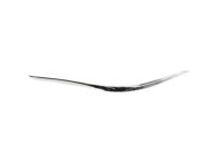Ford F8VZ-17K833-BA Cover Molding, Passenger Side
