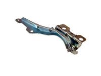 Ford 7L1Z-16797-A Hinge, Front Driver Side