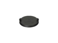 Ford -W715731-S300 Pad Plug, Outer