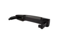 Ford AG1Z-74215A05-A Cap, Driver Side